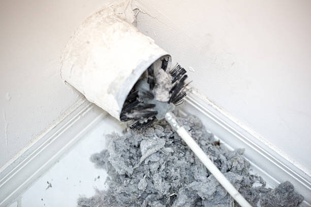 Best Home Air Vent Cleaning  in Princeton, WI